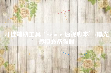 开挂辅助工具“wepoker透视脚本”(曝光透视必备猫腻