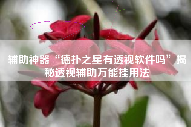 辅助神器“德扑之星有透视软件吗”揭秘透视辅助万能挂用法