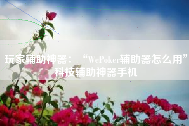 玩家辅助神器：“WePoker辅助器怎么用”科技辅助神器手机