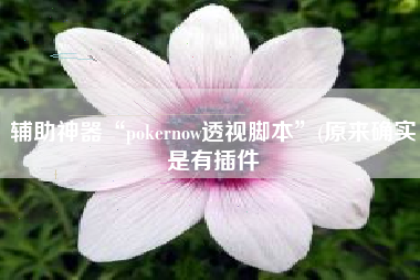 辅助神器“pokernow透视脚本”(原来确实是有插件