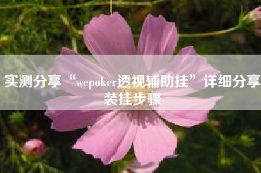 实测分享“wepoker透视辅助挂”详细分享装挂步骤