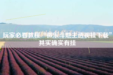 玩家必看教程“微乐斗地主透视挂下载”其实确实有挂