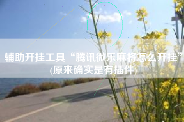 辅助开挂工具“腾讯微乐麻将怎么开挂”(原来确实是有插件)