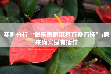 实测分析“微乐贵阳麻将有没有挂”(原来确实是有插件
