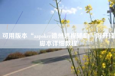 可用版本“aapoker德州透视辅助”附开挂脚本详细教程