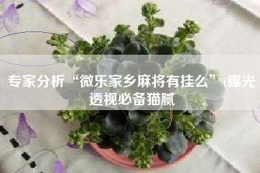 专家分析“微乐家乡麻将有挂么”(曝光透视必备猫腻