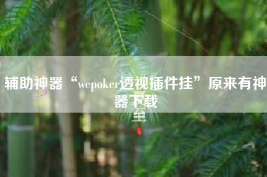 辅助神器“wepoker透视插件挂	”原来有神器下载