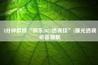 3分钟教程“微乐2025透视挂	”(曝光透视必备猫腻