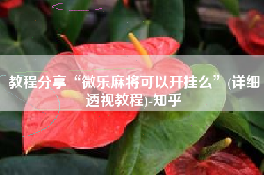 教程分享“微乐麻将可以开挂么”(详细透视教程)-知乎