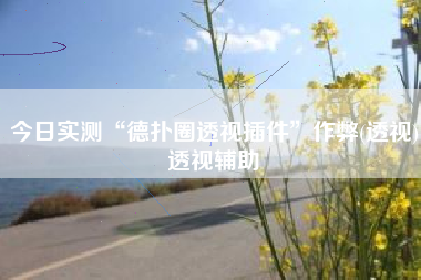 今日实测“德扑圈透视插件”作弊(透视)透视辅助