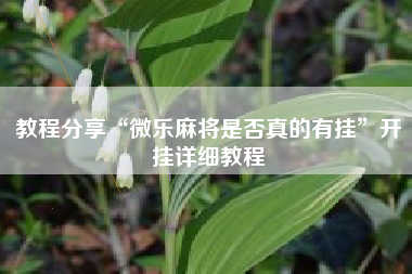 教程分享“微乐麻将是否真的有挂”开挂详细教程