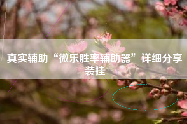 真实辅助“微乐胜率辅助器	”详细分享装挂
