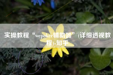 实操教程“wepoker辅助器”(详细透视教程)-知乎