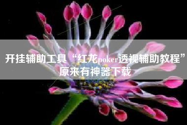 开挂辅助工具“红龙poker透视辅助教程	”原来有神器下载