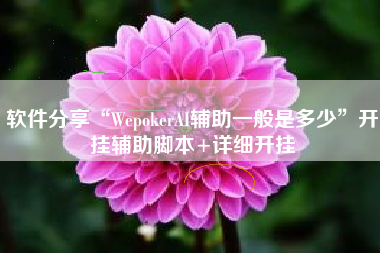 软件分享“WepokerAI辅助一般是多少”开挂辅助脚本+详细开挂