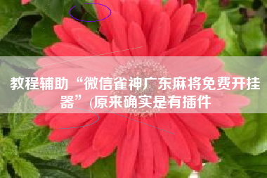 教程辅助“微信雀神广东麻将免费开挂器”(原来确实是有插件