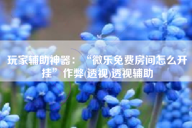 玩家辅助神器：“微乐免费房间怎么开挂”作弊(透视)透视辅助