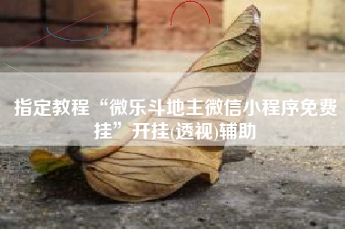 指定教程“微乐斗地主微信小程序免费挂”开挂(透视)辅助