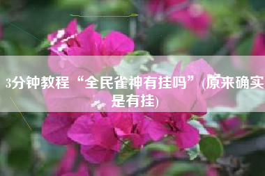 3分钟教程“全民雀神有挂吗”(原来确实是有挂)