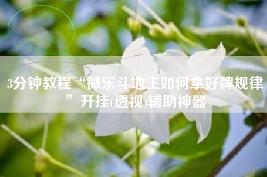 3分钟教程“微乐斗地主如何拿好牌规律”开挂(透视)辅助神器