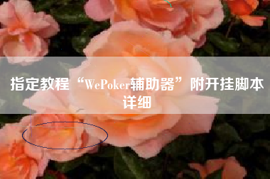 指定教程“WePoker辅助器”附开挂脚本详细