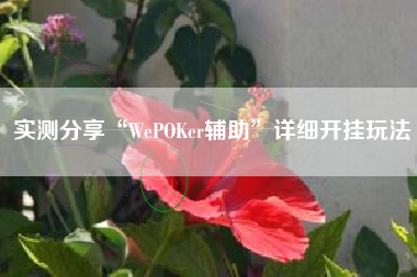 实测分享“WePOKer辅助	”详细开挂玩法