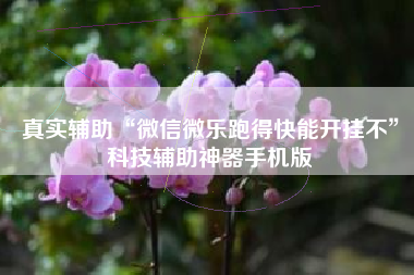 真实辅助“微信微乐跑得快能开挂不	”科技辅助神器手机版