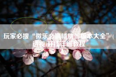 玩家必搜“微乐必赢辅助器版本大全”(透视)开挂详细教程