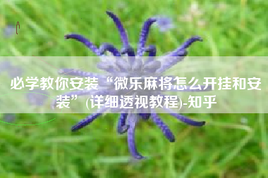 必学教你安装“微乐麻将怎么开挂和安装”(详细透视教程)-知乎