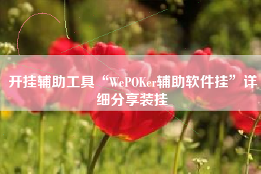 开挂辅助工具“WePOKer辅助软件挂	”详细分享装挂