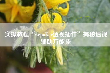 实操教程“wepoKer透视插件”揭秘透视辅助万能挂