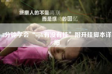 3分钟学会“wpk有没有挂”附开挂脚本详细