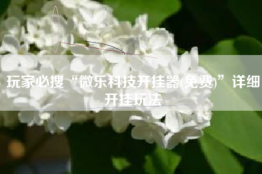 玩家必搜“微乐科技开挂器(免费)”详细开挂玩法