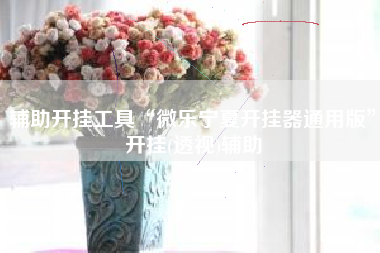 辅助开挂工具“微乐宁夏开挂器通用版”开挂(透视)辅助