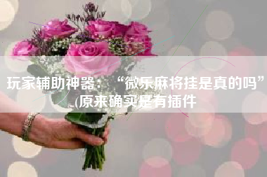 玩家辅助神器：“微乐麻将挂是真的吗	”(原来确实是有插件