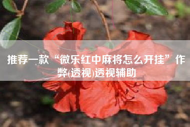 推荐一款“微乐红中麻将怎么开挂”作弊(透视)透视辅助