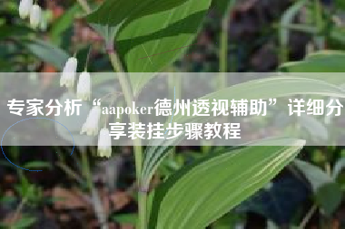 专家分析“aapoker德州透视辅助”详细分享装挂步骤教程