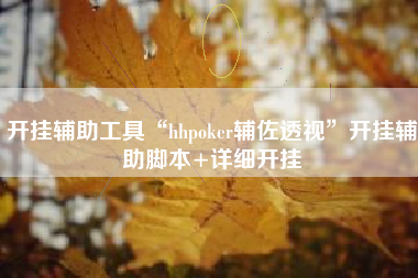 开挂辅助工具“hhpoker辅佐透视	”开挂辅助脚本+详细开挂