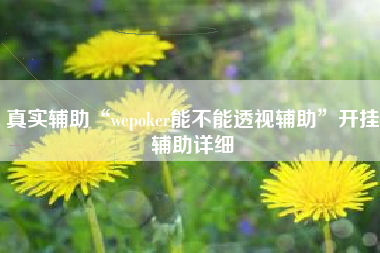 真实辅助“wepoker能不能透视辅助	”开挂辅助详细