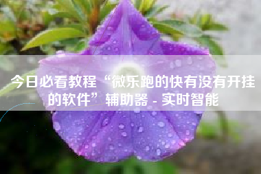 今日必看教程“微乐跑的快有没有开挂的软件	”辅助器 - 实时智能