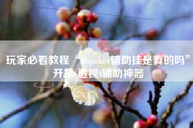 玩家必看教程“hhpoker辅助挂是真的吗	”开挂(透视)辅助神器