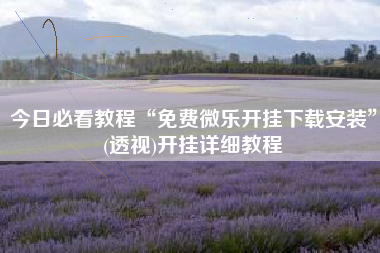 今日必看教程“免费微乐开挂下载安装”(透视)开挂详细教程