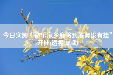 今日实测“微乐家乡麻将到底有没有挂”开挂(透视)辅助