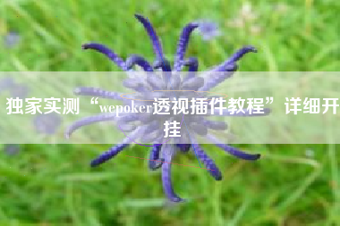 独家实测“wepoker透视插件教程”详细开挂