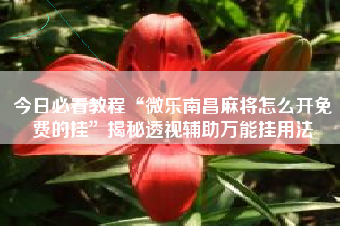 今日必看教程“微乐南昌麻将怎么开免费的挂”揭秘透视辅助万能挂用法