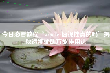 今日必看教程“wrpoker透视挂真的吗”揭秘透视辅助万能挂用法