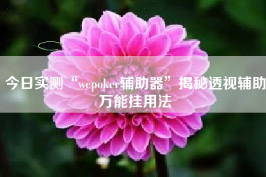 今日实测“wepoker辅助器”揭秘透视辅助万能挂用法