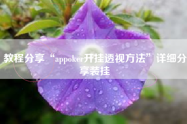 教程分享“appoker开挂透视方法”详细分享装挂