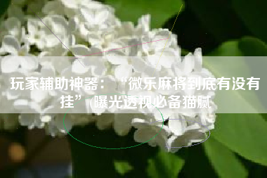 玩家辅助神器：“微乐麻将到底有没有挂	”(曝光透视必备猫腻