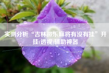 实测分析“吉林微乐麻将有没有挂”开挂(透视)辅助神器